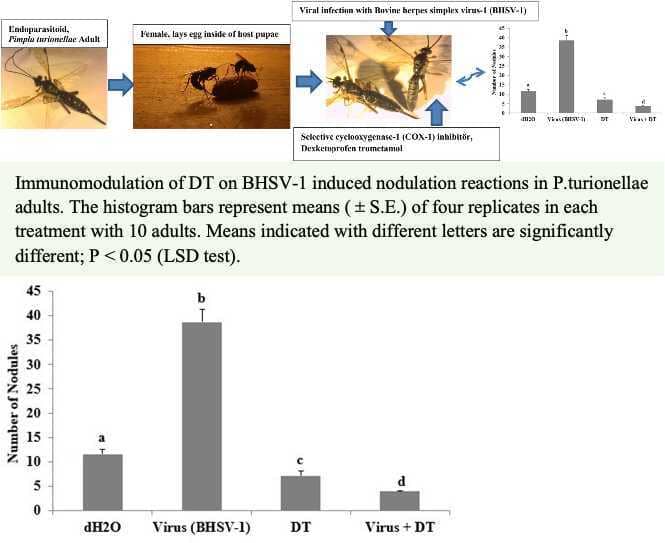 Immune modulation by dexketoprofen trometamol, a selective eicosanoid biosynthesis inhibitor of cellular immune response and phenoloxidase reaction in response to viral infection in Pimpla turionellae adults