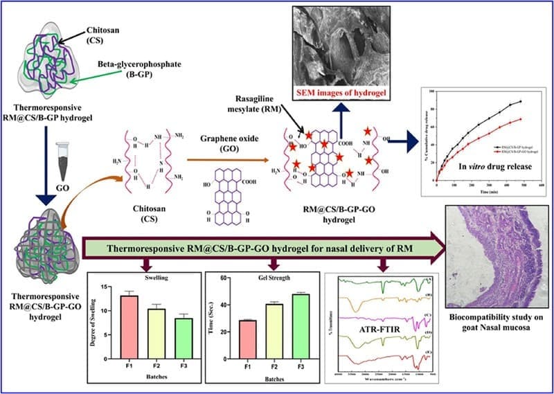 Synthesis of chitosan-graphene oxide thermosensitive in situ hydrogel for nasal delivery of rasagiline mesylate: In-vitro-ex vivo characterization